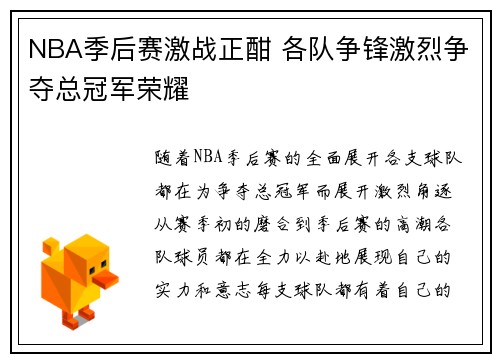 NBA季后赛激战正酣 各队争锋激烈争夺总冠军荣耀